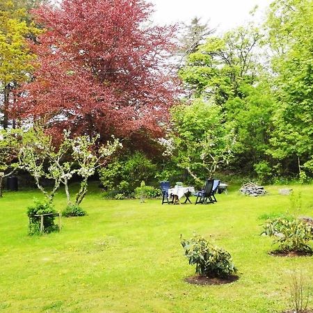 Charming Flat In Cosy Farmhouse Skudeneshavn 外观 照片