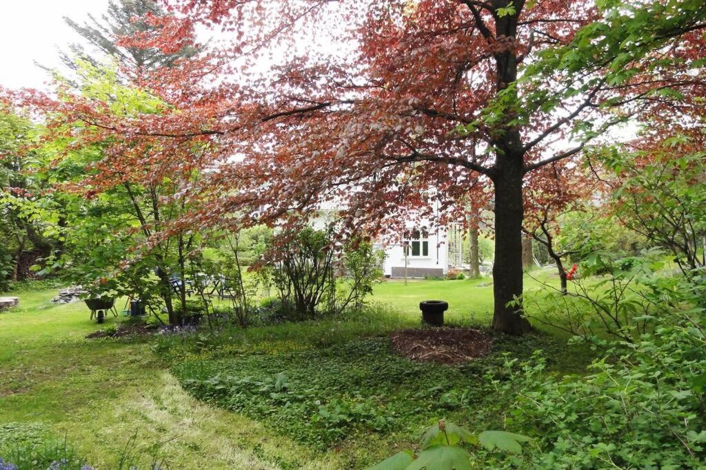 Charming Flat In Cosy Farmhouse Skudeneshavn 外观 照片